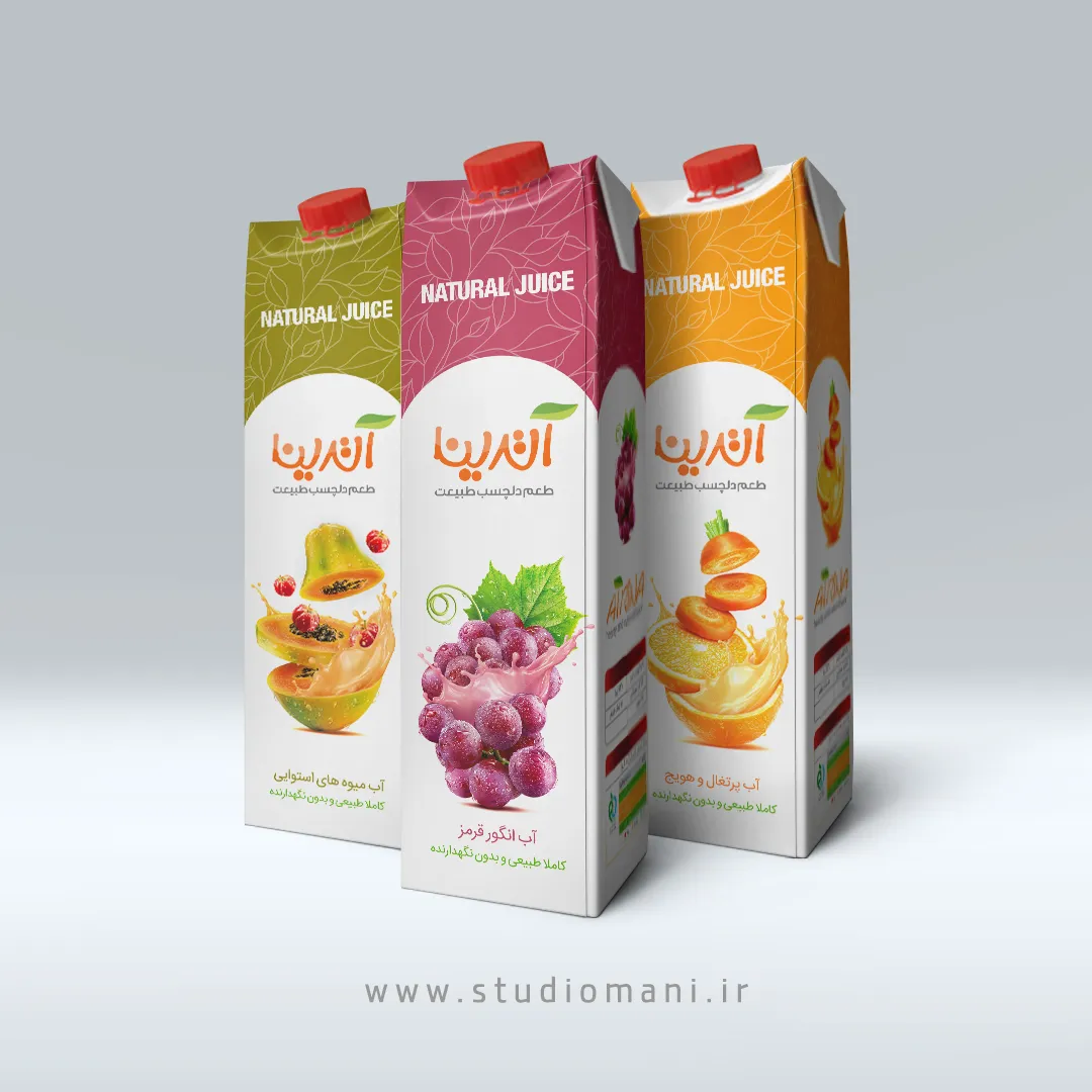 Product-packaging-design-08 طراحی بسته بندی آب میوه